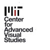 MIT Center for Advanced Visual Studies